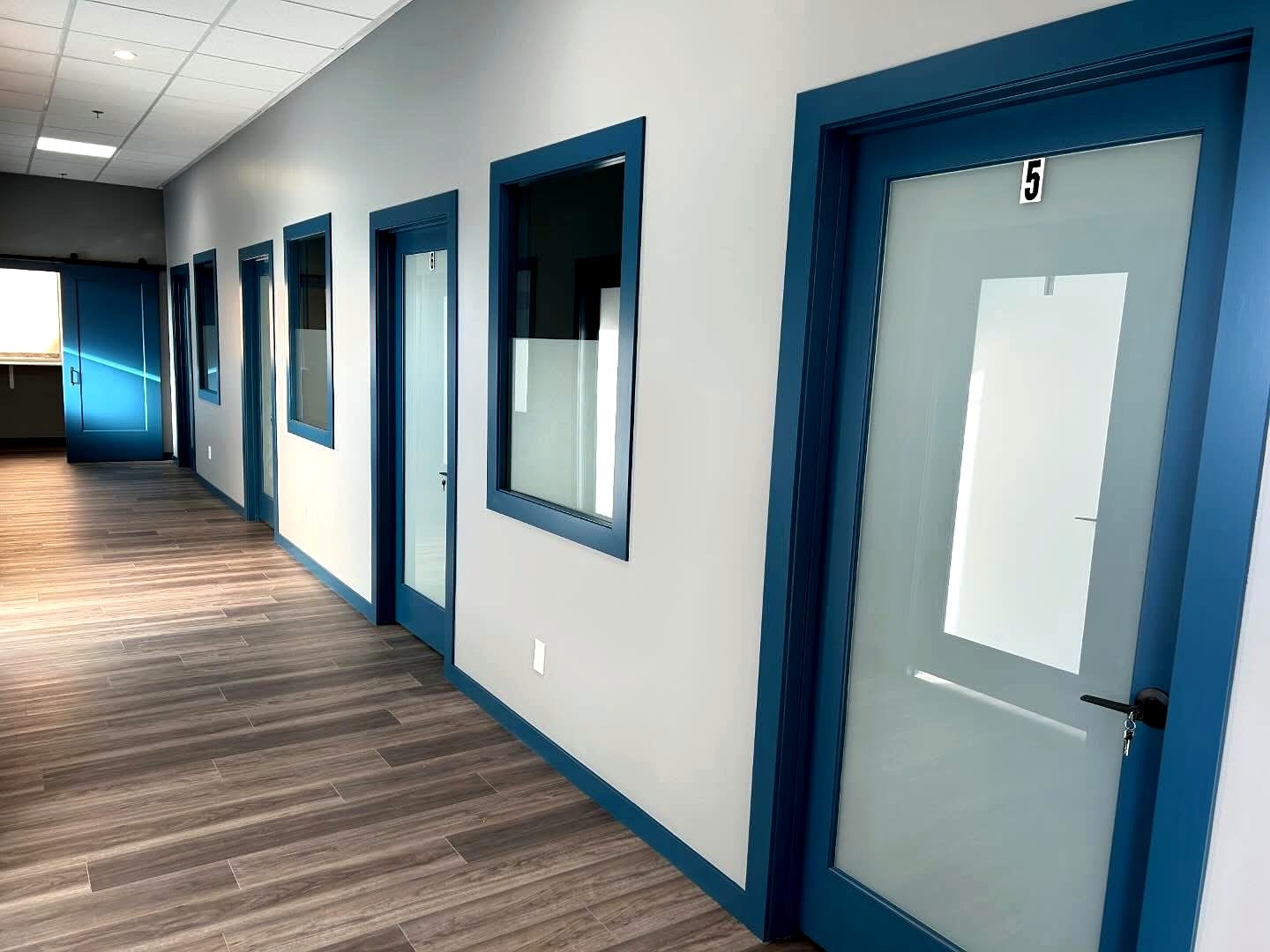 Modern commercial office renovation with a feature wall and glass partition